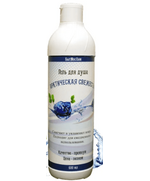 Гель для душа Арктическая свежесть 600 мл. Цена оптовая от производителя.