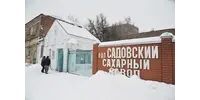 ООО "САДОВСКИЙ САХАРНЫЙ ЗАВОД"