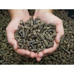 Топливные пеллеты