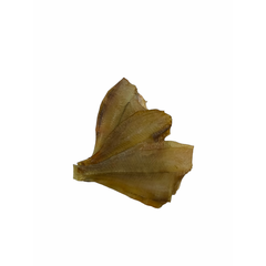 Камбала очищенная вял, кг