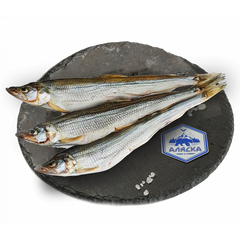 Корюшка вял 15+, кг