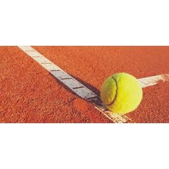 Профессиональное покрытие для теннисного корта