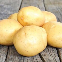 Картофель Аризона