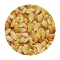 Зерно Лён белый