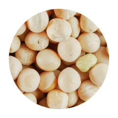 Зерно Горох