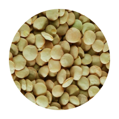 Зерно Чечевица