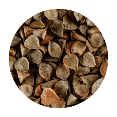 Зерно Гречиха