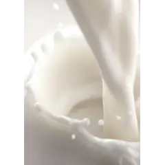 Молоко 3,2% ультрапастеризованное