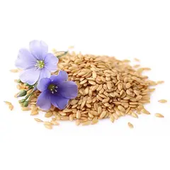 Лен масличный ГОСТ