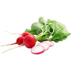 Редис пучковой