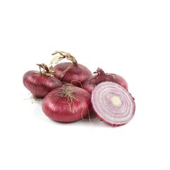 Лук ялтинский