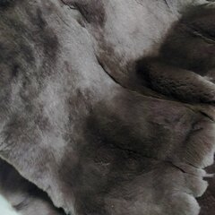 Пластина REX крашеная