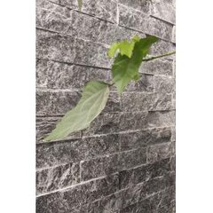 Рваный камень из "Талькохлорита" 