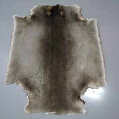 Бобр натуральный стриженый