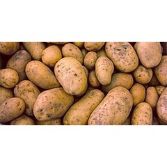 Картофельный крахмал