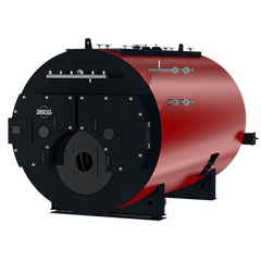 Паровой котел FR25-10-12