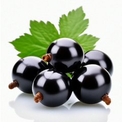 Конфитюр с кусочками Чёрная смородина, Категория Н