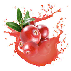 Конфитюр с кусочками Клюквы, Категория Н