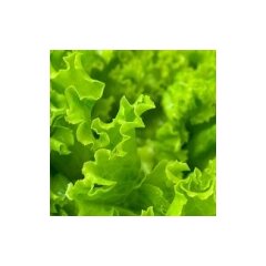 Салат «Лифли»