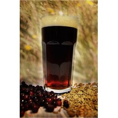 Квас брусничный