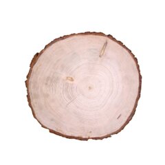 Ель европейская