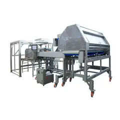 Роботизированный укладчик сосисок РКС 500