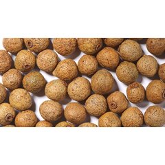 Перец душистый горошек