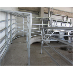 Прогоны к боксу оглушения КРС