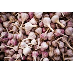 Чеснок сушеный гранулированный