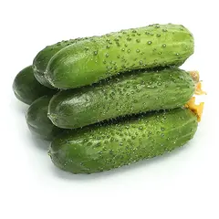 Огурец свежий