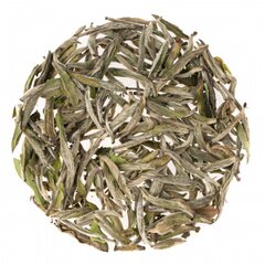 Зелёный чай Бай Ча Лун Цзин 2025 года