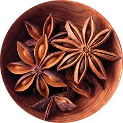 Бадьян звёздчатый плоды