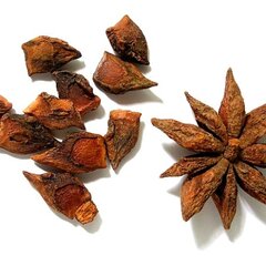 Бадьян Звездчатый ломанный