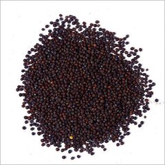 Горчица черная семена