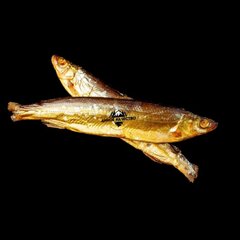 Ряпушка х/к непотрошеная