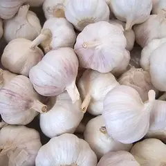 Чеснок Китай