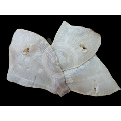 Камбала тушка очищенная вяленая