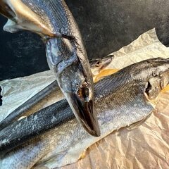 Щука вяленая потрошеная