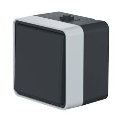 Выключатель одноклавишный CADUCEUS ALING PROTECTA, проходной, для открытой проводки