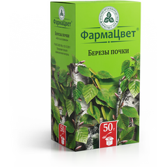 Березы почки