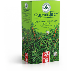 Багульника болотного побеги