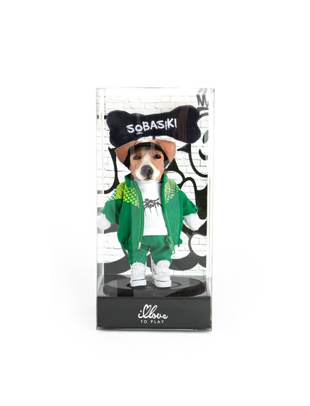 Джек-рассел-терьер Коди