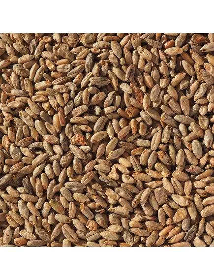 «Ржаной неферментированный» солод