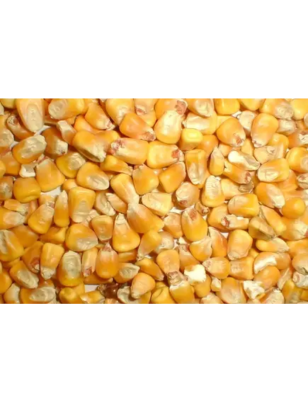 Кукуруза пищевая