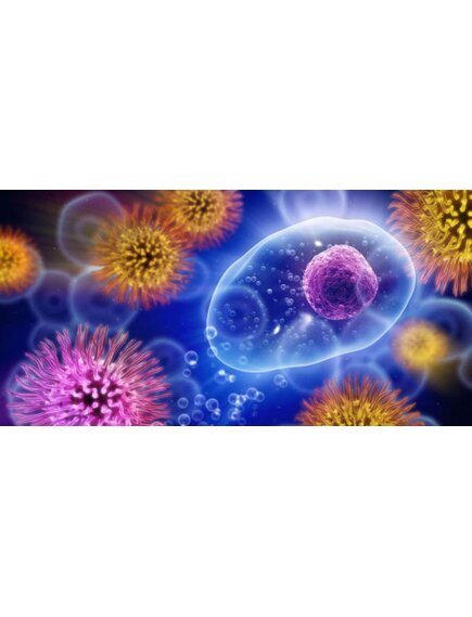 Набор для выращивания бактерий