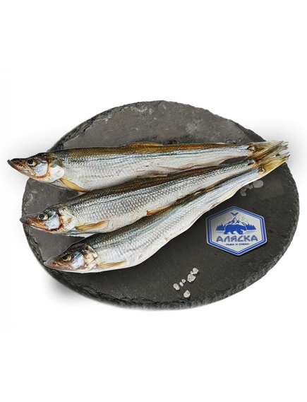 Корюшка вял 15+, кг