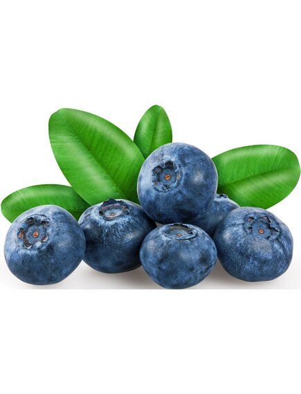 Замороженная голубика садовая