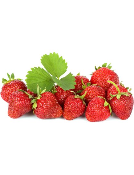 Замороженная земляника луговая