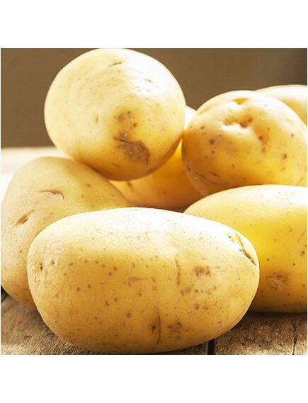 Картофель Коломбо