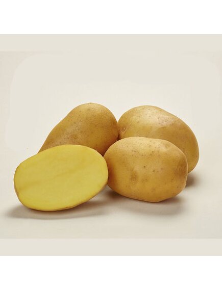 Картофель Лисана